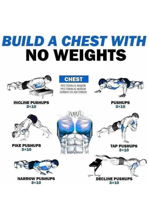 Arm Muscles Workout, Chest And Arm Workout, Arm Workout Men, Back Workout Men, Workouts Without Equipment, Chest Workout At Home, Chest Workout For Men, Chest Workout Routine, Home Workout Men