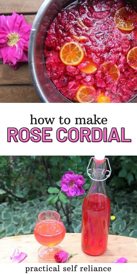 Learn how to make an easy rose petal infused cordial this summer. Use it for refreshing floral cocktails or even try adding other edible flowers into the mix. Elderflower rose would be an excellent summer infused cordial! Rose Petal Recipes, Rose Cocktail Recipes, Eatable Flowers, Flowers Recipes, Cordial Recipe, Easy Rose, Edible Flowers Recipes, Homemade Limoncello, Foraging Recipes