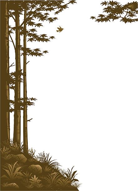 Woodland border Nature Border Design Drawing, Forest Border Design, Forest Border, 2024 Watercolor, Plain Wallpaper Iphone, Tree Borders, Forest Silhouette, Cold Mountain, Forest And Wildlife