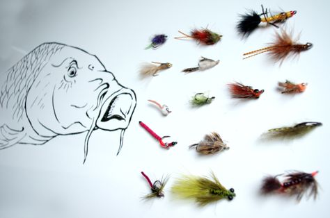 Carp Flies, Fly Tying Patterns, March 1st, The Fly, Fly Tying, Carp, Fly Fishing, Fishing, Abstract Artwork