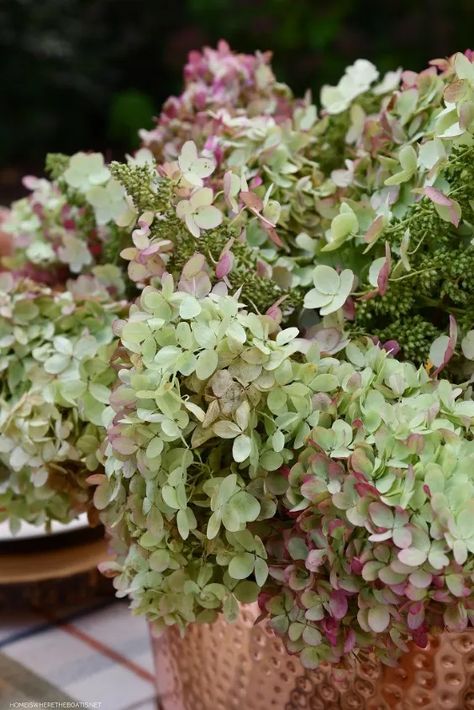 Dried Hydrangeas Centerpiece, Dry Hydrangea Arrangements, Hydrangea Arrangements Wedding, Country Flower Arrangements, Hydrangea Centerpiece Wedding, Hydrangea Vase, Fall Hydrangea, Pumpkin Vase, Limelight Hydrangea