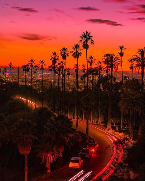 COMPLEX on Instagram: “LA sunsets 🌅 {📸 @viaja.con.stella}” Valencia Core, Los Angeles Sunset, Life In Usa, California Pictures, Los Angeles Aesthetic, Visit Los Angeles, Los Angeles Travel, California Summer, California Sunset