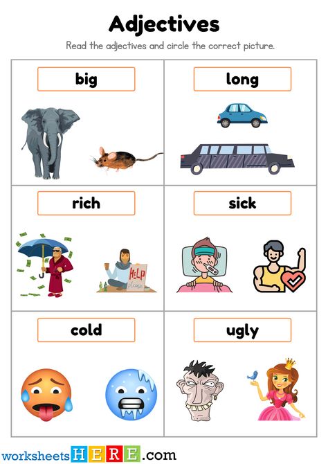 Read the Adjectives and Circle the Correct Picture PDF Worksheet For Student - WorksheetsHere.com Comparative Superlative, Big Bigger Biggest, Degrees Of Comparison, Dumb And Dumber, Being Ugly, Reading