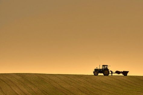 Farming System, Farm Photography, Farm Photo, Farms Living, Down On The Farm, Country Life, Farm Life, Country Girls, Agriculture