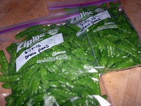 Freezing peas Freezing Peas, Spring Peas Recipes, Freeze Food, Growing Green Beans, Freezing Vegetables, Freezing Food, Different Fruits And Vegetables, Spring Peas, Canning Food Preservation