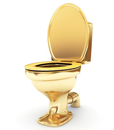 Guggenheim Museum Presents… A Solid Gold Toilet - Cultivating Culture Maureen Wroblewitz, Mexican Tile Bathroom, Ladies Restroom, Gold Toilet, Stall Door, Ladies Room, Toilet Sink, Public Restroom, Mexican Tile