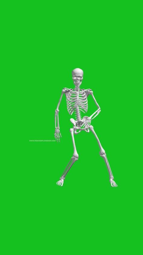 Green Screen Animation, Ladybug E Catnoir, Skeleton Dancing, Green Screen Footage, Fotografi Urban, Skeleton Dance, Free Green Screen, Editing Video, Logo Design Video