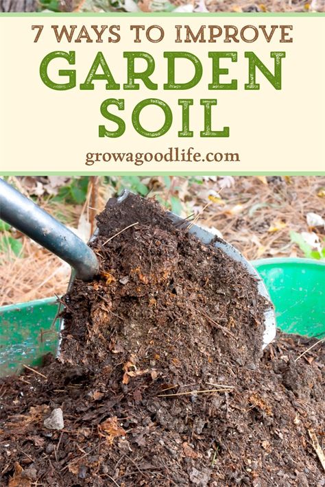 Healthy Garden Soil, Vegetable Garden Soil, Plantarea Legumelor, Planning Garden, Planters Garden, Gardening Landscaping, Gardening Design, Landscaping Garden, Garden Compost