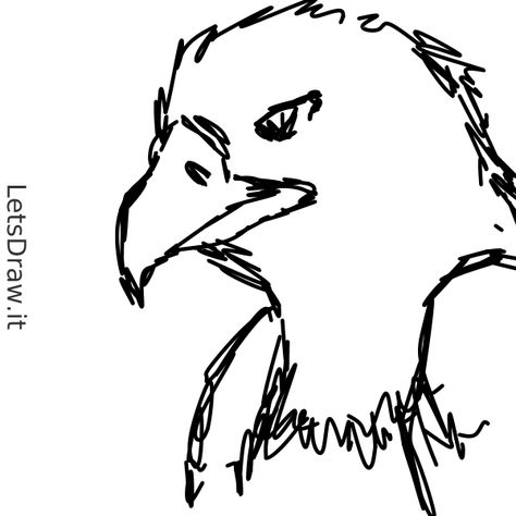 Bald eagle drawing on lets draw site. Not much to say about it though. Bald Eagle Drawing, Eagle Drawing Easy, Eagle Sketch, Eagle Drawing, Sea Eagle, Draw Art, Sketchbook Ideas, Drawing Base, Drawing Tips