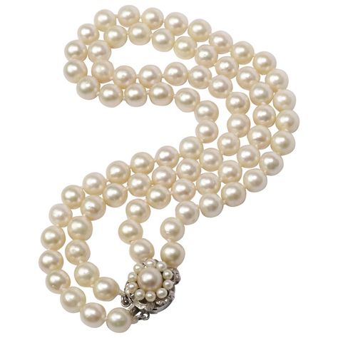 This double strand of cultured Akoya pearls was created in the 1950s and features large —9.00-9.40mm— pearls with thick, luscious nacre. The pearls are light cream with rose overtones. The silver clasp features an 8.5mm pearl surrounded by a halo of 10 4mm pearls and has a safety catch. The total length inclusive of clasp for the inner strand is 15 ½" and 17" for the outer strand. Akoya pearls 8mm and over are the rarest and most valuable. This double strand features 80 9.00-9.40mm vintage cultu 1950s Jewelry, Akoya Pearl Necklace, Johannes Vermeer, French Wire, Jade Jewelry, South Sea Pearls, Akoya Pearls, Light Cream, The 1950s