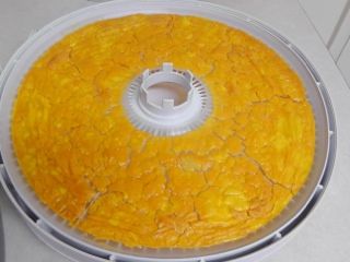 Dehydrating Eggs, Gardening Tips For Beginners, Food Dehydrator, Home Farm, Farm Ideas, Dehydrated Food, Organic Gardening Tips, Dehydrator Recipes, Preserving Food