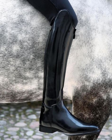 CELERIS UK, USA & Canada (@celerisuk) on Instagram: “Our new model the Amazona is very similar to the Passage dressage boot but with some design tweaks.…” Dressage Boots, Equestrian Outfit, Equestrian Helmets, Equestrian Helmet, English Riding, Equestrian Boots, Riding Hats, Equestrian Sports, Horse Blankets