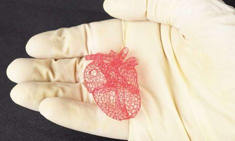 3-D printed sugar scaffolds offer sweet solution for tissue engineering, device manufacturing Health Economics, Human Organs, Tissue Engineering, Cells And Tissues, Human Organ, 3d Printer Designs, Modeling Techniques, University Of Illinois, 3d Printing Service