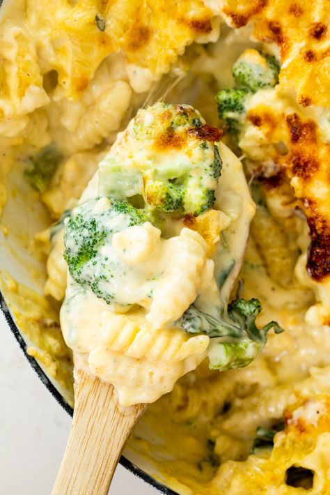 Broccoli Cheddar Pasta, Cheese And Broccoli Pasta, Cheddar Pasta, Cheese Pasta Bake, Broccoli Pasta Bake, Broccoli Pasta Recipe, Broccoli Cheddar Chicken, Cheese Broccoli, Cheddar Broccoli