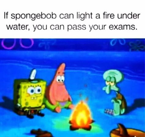 Exams are on the way Exam Memes, Spongebob Stuff, Exams Memes, Studying Memes, Funny Spongebob Memes, Ju Jitsu, Sponge Bob, Spongebob Memes, School Memes