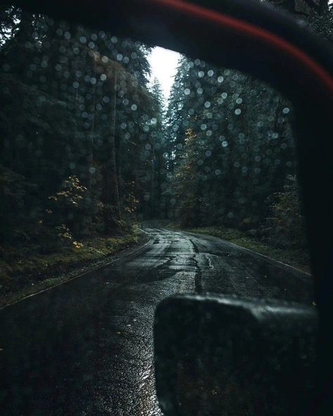 Moody Adventure Aesthetic, What Lies In The Woods Aesthetic, American Forest Aesthetic, Rainy Cabin Aesthetic, Pacific Northwest Gothic Aesthetic, Pacific Northwest Gothic, Pnw Gothic, Pacific Northwest Aesthetic, Dark Naturalism