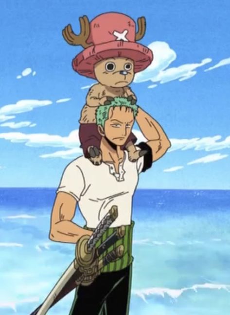 Zoro Chopper, One Piece Chopper, رورونوا زورو, One Piece Meme, Snk Cosplay, One Piece Funny, Zoro One Piece, One Peice Anime, One Piece Images