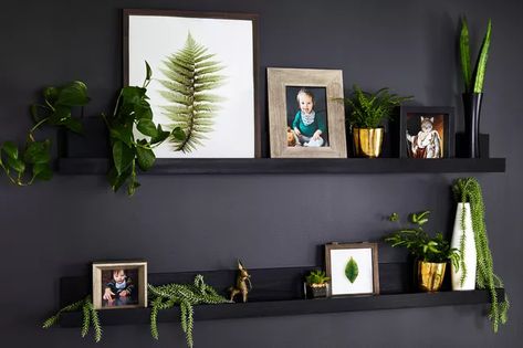 19 Picture Ledge Ideas to Shake up the Way You Use Your Walls Floating Shelves On Black Wall, Black Wall With Floating Shelves, Picture Ledge Decorating Ideas, Picture Ledge Ideas, Decorating A Blank Wall, Picture Shelf Wall, Gallery Wall Shelves, Artwork Above Bed, Ikea Picture Ledge