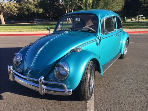 1966 Volkswagen Beetle available for Auction | AutoHunter.com | 23899352 Purchase Contract, Chrome Mirror, Blue Door, Side Window, Volkswagen Beetle, Rear Window, Manual Transmission, Fm Radio, Cool Cars