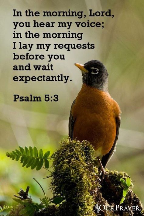 Psalm 5 3, Vertrouw Op God, Psalm 5, A Course In Miracles, Ayat Alkitab, Biblical Verses, Prayer Scriptures, Inspirational Bible Quotes, Biblical Quotes