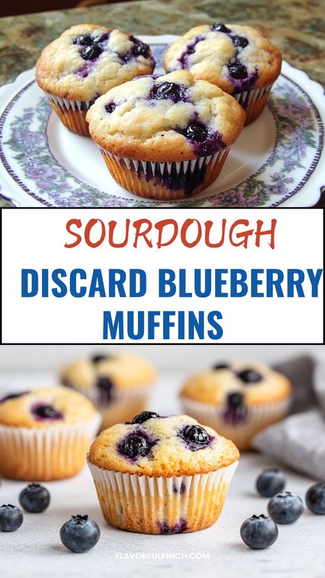 Make these easy Fluffy blueberry sourdough discard muffins using your sourdough discard! These are easy to make and are perfect for breakfast.
Sourdough Muffins Blueberry, Sourdough Discard Blueberry Muffins, Discard Blueberry Muffins, Sourdough Discard Blueberry, Discard Muffins, Sourdough Treats, Sourdough Blueberry Muffins Sour Dough Discard Healthy Muffins, Discard Muffins Blueberry, Blueberry Muffin Sourdough Discard, Sourdough Starter Blueberry Muffins, Sourdough Discard Toddler Recipes, Healthy Sourdough Discard Muffins, Sourdough Blueberry Muffins Recipe, Blueberry Muffins Sourdough Discard, Sourdough Discard Muffins Recipe