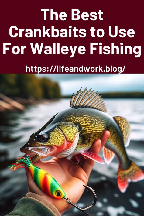 The Best Crankbaits to Use For Walleye Fishing Walleye Fishing Tips, Fly Fishing Tips, Deep Diving, Walleye Fishing, Fishing Techniques, The Reef, Fishing Charters, Freshwater Fishing, Ice Fishing