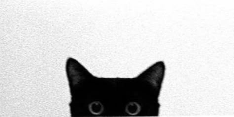 Tumblr Masterlist Header, Cat Cover Photo Facebook Aesthetic, Twitter Header And Profile Pic, Profile For Twitter, Cute Cat Header, Aesthetic Twitter Profile Pic, Black Cat Header, Cat Header Twitter, Cat Cover Photo