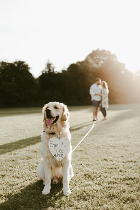 Couple Photoshoot With Dog, Photoshoot With Dog, Summer Engagement Shoot, Golden Hour Couple, Couple Dog, Save The Date Pictures, Save The Date Ideas, Engagement Announcement Photos, Fall Engagement Pictures