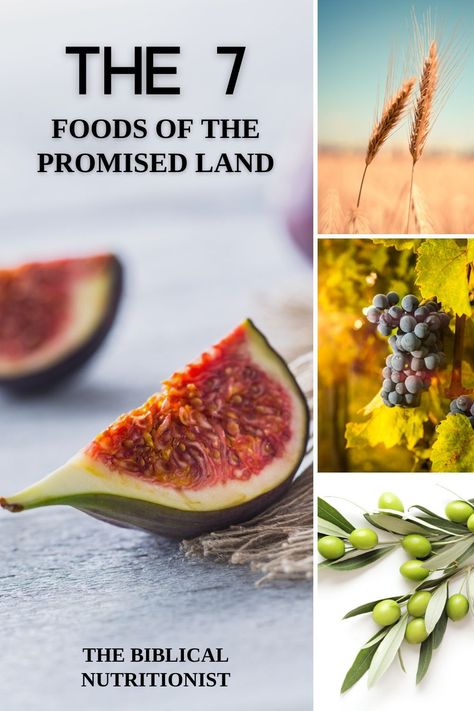 What food did they eat in Bible times? God created food for the Israelites: to always be reminded of His promises, provision, and grace. Today you'll learn about 7 foods from the Promised Land. These nutrient rich foods delight the palate, invigorate the cells, and rejuvenate our stamina. Find freedom in eating God's way! Learn the amazing health benefits of wheat, barley, grapes, figs, pomegranates, olives, and dates! My website is filled with recipes with these nutritious ingredients! Biblical Food, Daniel Fast Diet, Biblical Diet, Bible Food, Bible Diet, Barley Recipe, Shabbat Dinner, Wheat Berries, Daniel Fast