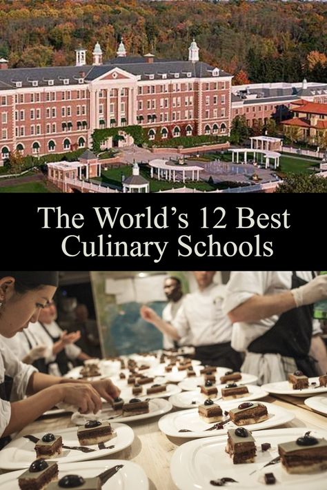 If you have plans on entering the culinary world, then one of the best ways that you can set yourself up for success is by going to culinary school. Culinary Arts Schools, Salt Block Cooking, Swiss Cuisine, Belgian Food, Korean Kitchen, Pastry School, Cuban Cuisine, Set Yourself Up For Success, Cooking Courses