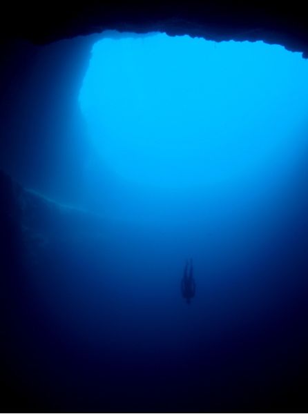 Le Grand Bleu, Deep Diving, Blue Hole, Land Of Enchantment, Deep Blue Sea, Deep Water, Feeling Blue, Underwater Photography, Foto Inspiration