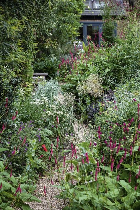 Small Wild Garden, Small Garden Inspiration Ideas, Tiny Garden Design, Narrow Garden Ideas, City Garden Ideas, Courtyard Garden Ideas, Gravel Gardens, Mums Garden, Gardens Illustrated