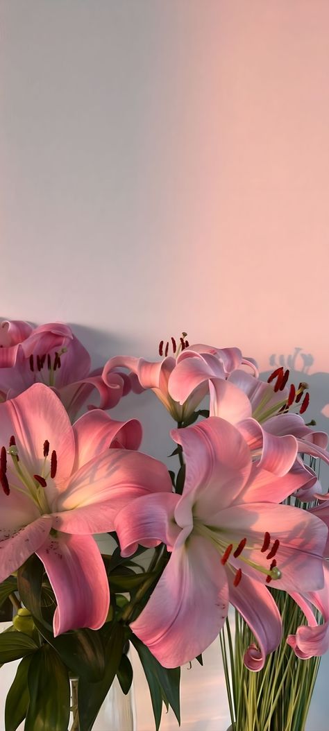 17 Doğum Günü, Iphone Wallpaper Violet, Pink Wallpaper Ipad, Pink Lilies, Lily Wallpaper, Images Hello Kitty, Boquette Flowers, Nothing But Flowers, Wallpaper Nature Flowers