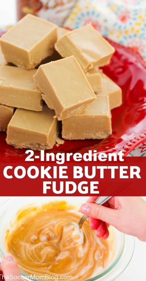 2 Ingredient Candy, Cookie Butter Fudge, Biscoff Fudge, Baked Fudge Recipe, No Bake Fudge, 2 Ingredient Cookies, 2 Ingredient Desserts, Butter Fudge Recipe, Biscoff Recipes