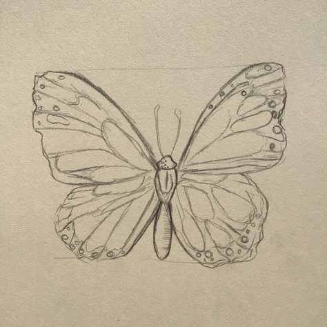 Drawing Reference Butterfly, Drawing Butterfly Aesthetic, Two Butterfly Drawing, Sketches Of Butterfly, Monarch Butterfly Drawing Outline, Pencil Drawings Butterfly, Sketch Ideas Butterfly, Buterfluffy Sketch, Big Butterfly Drawing