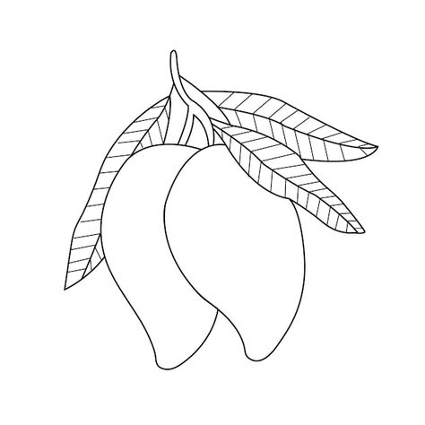 Mango Outline, Mango Drawings, Mango Drawing, Mango Images, Fruit Icons, Kids Worksheets Preschool, Kids Worksheets, Worksheets Preschool, Mango Fruit