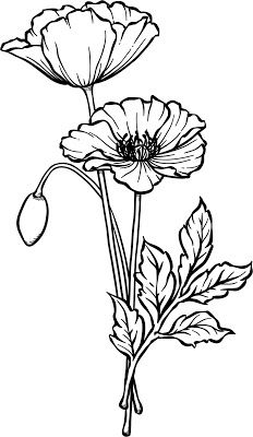 Poppy Flower Drawing, Poppy Drawing, Poppies Tattoo, Flower Line Drawings, Flower Drawing Tutorials, Poppy Painting, Flower Sketches, Floral Drawing, Pola Sulam