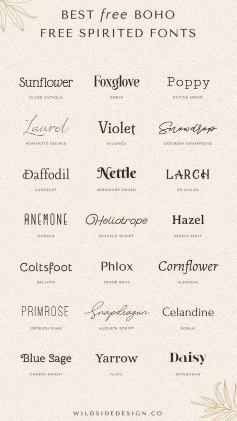 SHRIFTS. Elegant Canva Fonts, Canva Free Fonts, Writing Styles Fonts, Fancy Fonts Alphabet, Font Canva Lettering, Cute Fonts Alphabet, Best Canva Fonts, Font Love, Modern Fonts Free