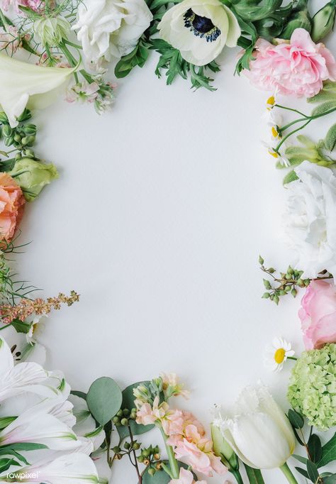 Fresh flowers frame on a white background | premium image by rawpixel.com / marinemynt #picture #photography #inspiration #photo #art #frame #flower #floral Wedding Flower Background, White Flower Border, Flower Flat Lay, White Flower Background, White Flower Wallpaper, Flower Picture Frames, Apple Flowers, Flowers Frame, Flower Flat