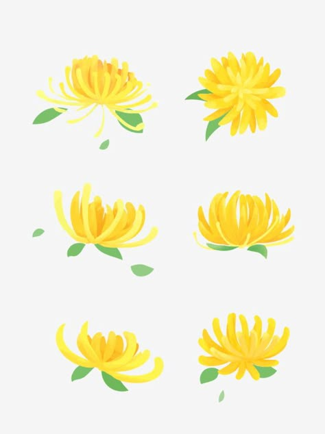 Chrysanthemum Painting Easy, Painted Chrysanthemum, Chrysanthemum Illustration, Flower Wreath Illustration, Chrysanthemum Painting, Flower Chrysanthemum, Yellow Chrysanthemum, Wreath Illustration, Korean Painting