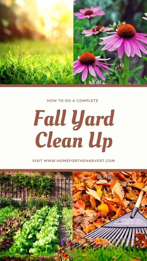 Fall yard clean up makes a big difference preparing your garden for winter. A good fall clean up will lead to a more productive growing season next year as well as a healthier lawn. Let’s look at the fall garden yard work chores that will help keep your garden happy and healthy. Yard Clean Up Tips, Fall Yard Work, Fall Lawn Maintenance, Cold Climate Gardening, Pruning Plants, Fall Landscaping, Yard Cleanup, Small Flower Gardens, Fall Yard