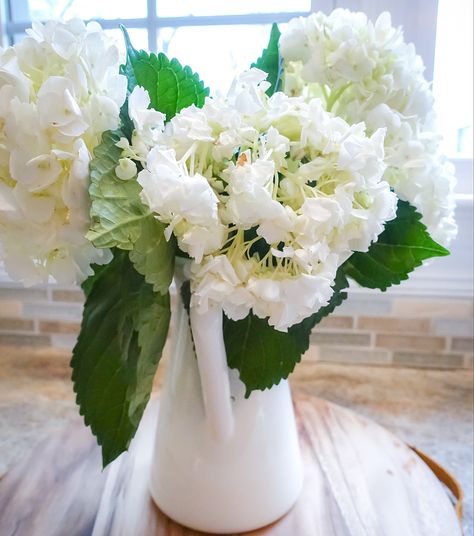 How to Revive Wilted Hydrangeas - South Lumina Style Wilted Flowers, Hydrangea Petals, Succulent Garden Indoor, Hydrangea Garden, Indoor Plant Care, Throw Pillows Christmas, Rainbow Sprinkles, Fresh Cut Flowers, Peony Flower