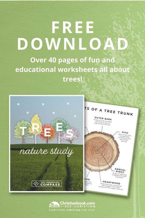 Parts Of A Tree Printable, Tree Unit Study Free Printable, Kindergarten Nature Study, Botany Unit Study, Free Unit Studies, Parts Of A Tree Worksheet, Homeschool Botany, Free Science Curriculum, Tree Unit Study