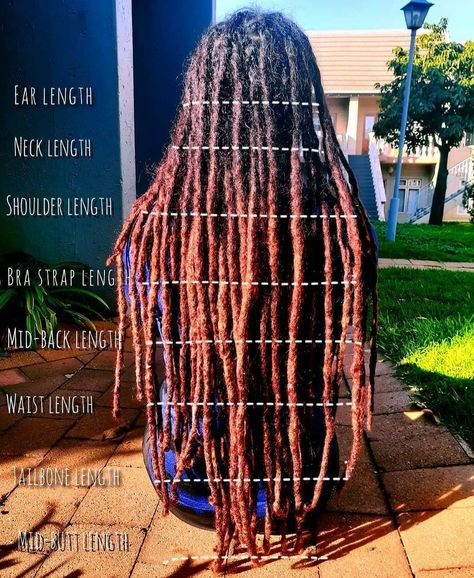 Waist Length Locs Black Women, Different Stages Of Locs, Bra Length Loc Styles, Types Of Dreads For Women, Locs Shoulder Length, Hairstyles For Shoulder Length Locs, Bra Strap Length Locs, Different Types Of Locs Black Women, Shoulder Length Locs Black Women