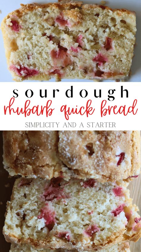 Pieces of tart rhubarb laced in a moist sourdough quick bread, this Sourdough Rhubarb Bread recipe is sure to be a go-to every summer! Made with sourdough discard, it's quick to make and topped with extra sugar for a sweet and crispy crust. Sourdough Discard Rhubarb Recipes, Sourdough Rhubarb Recipes, Rhubarb Sourdough, Quick Sourdough Recipes, Sourdough Instructions, Sourdough Rhubarb, Rhubarb Quick Bread, Sourdough Quick Bread, Rhubarb Bread Recipe