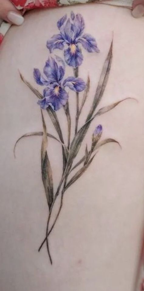 I like the shapes of these iris blooms. They are much more like the ones the we grew by my houses when I was growing up than them more splayed looking iris blooms. Flower Grandma, Iris Flower Tattoo, Vintage Flower Tattoo, Iris Tattoo, Garden Tattoos, Tattoo Reference, Iris Flower, Spine Tattoos, Tattoo Art Drawings