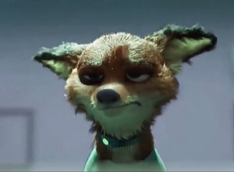 #zootopia Zootopia Meme, Zootopia Oc, Disney Expressions, Zootopia Concept Art, Zootopia Nick Wilde, Zootopia Characters, Zootopia Fanart, Disney+ Icon, Mister Wolf