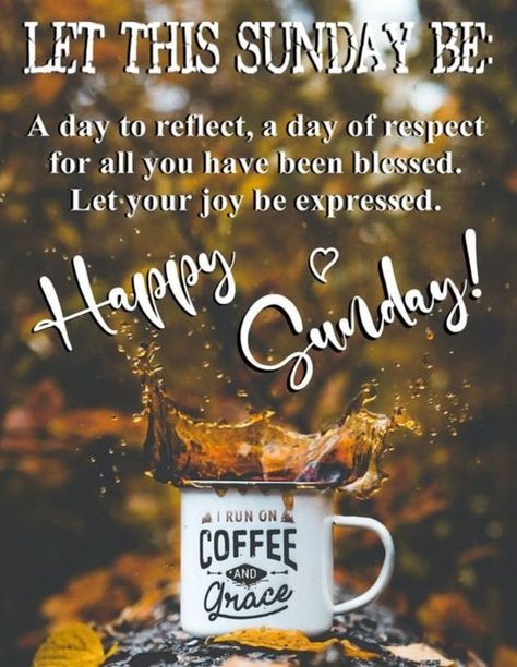 Church Day Quotes Sunday, Good Sunday Morning Quotes, Sunday Morning Wishes Happy, Happy Sunday Quotes Inspirational, Happy Sunday Morning Quotes, Happy Sunday Coffee, Sunday Morning Quotes Inspirational, Thankful Sunday, Good Morning Sunday Pictures