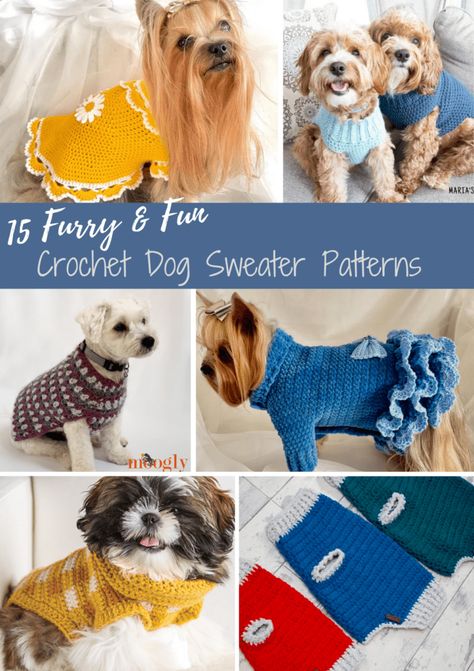 Crochet Dog Sweater Patterns, Crochet Dog Sweater Free Pattern, Diy Dog Sweater, Cat Jacket, Dresses Patterns, Crochet Dog Clothes, Crochet Pet, Small Dog Coats, Dog Sweater Crochet Pattern