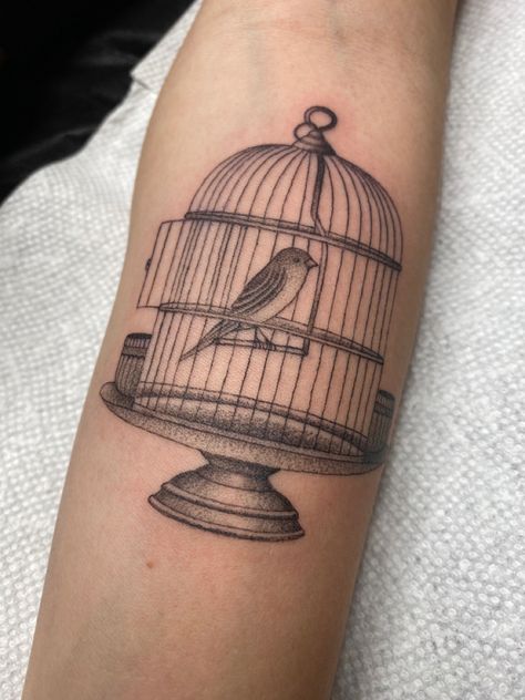 Tattoo, bird in cage tattoo, arm tats Bird In Frame Tattoo, Vintage Bird Cage Tattoo, Cage Bird Tattoo, Bird And Cage Tattoo Freedom, Caged Bird Tattoo, Birdcage Drawing, Bird Cage Tattoo, Jail Tattoos, Birdcage Tattoo